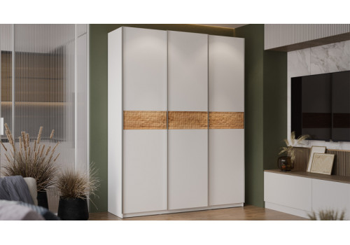 Шкаф-купе с 3 глухими дверями «Оскар Скания» Ручка серебро, Белый снег, Дуб тортугга